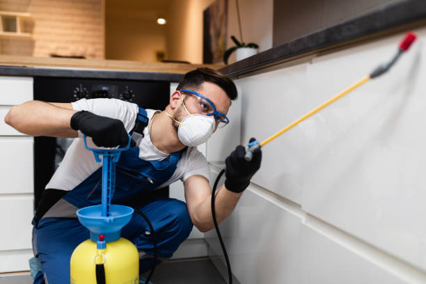 Best Best Pest Control Companies  in Castle Shannon, PA