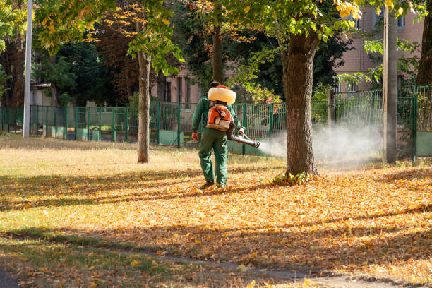 Best Best Pest Control Companies  in Castle Shannon, PA