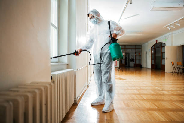 Flea Control Services in Castle Shannon, PA