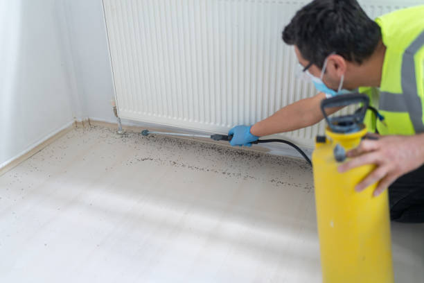 Pest Control for Restaurants in Castle Shannon, PA